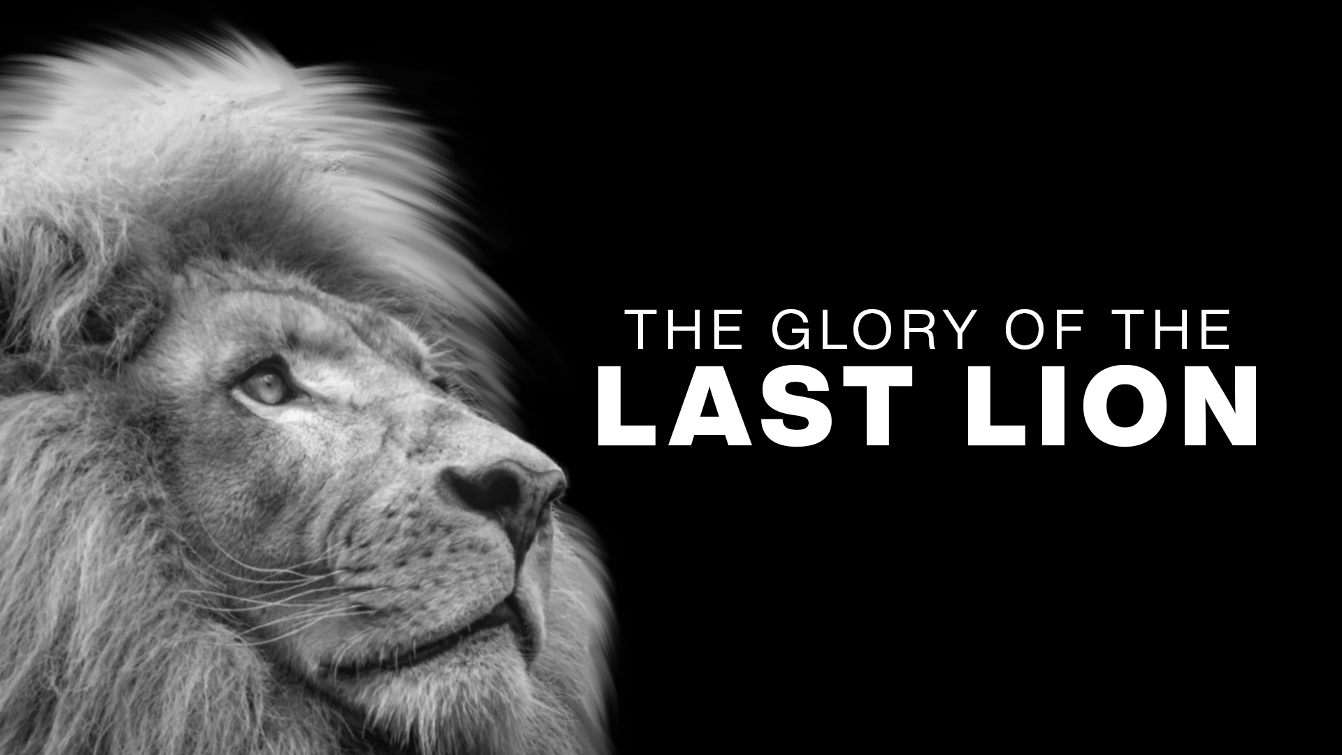 The Glory of the Last Lion